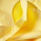 Classic Percale - Fitted Sheet Set - Yellow