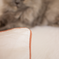 Classic Percale - Duvet Cover Set - White with Peach Piped Edge